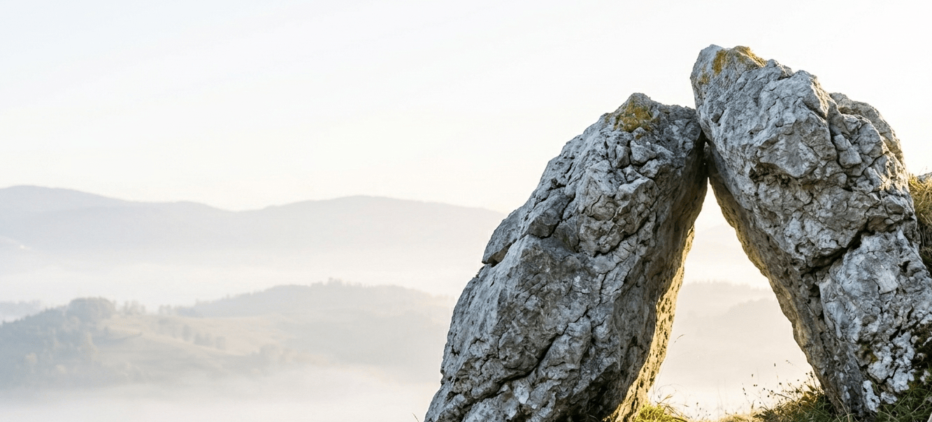 Multiple purple flowers blooming together in a sunlit meadow, symbolizing co-creation, collaborative service development, and collective innovation.