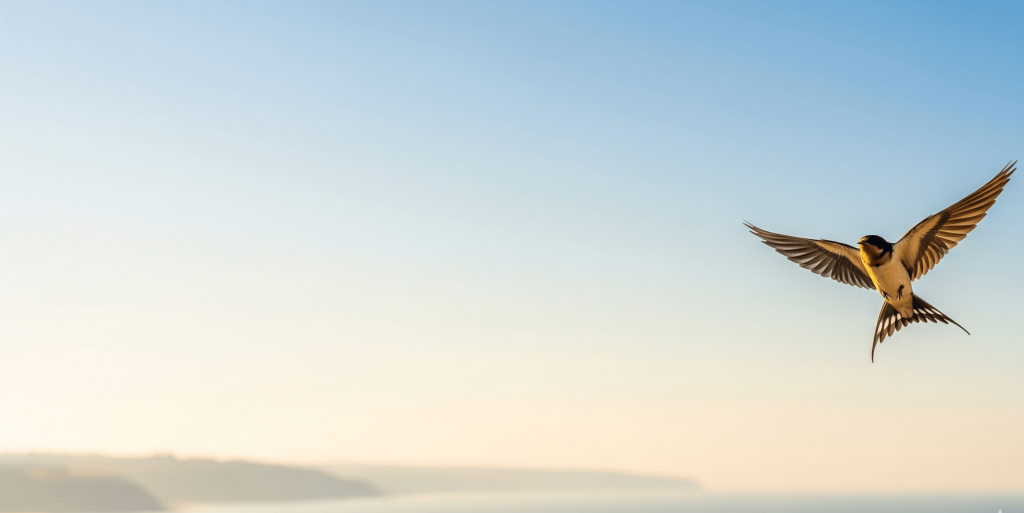 A barn swallow in mid-flight with wings spread wide against a clear blue sky over a coastal horizon, representing agility, seasonal migration, and the ability to reach international customers across borders.