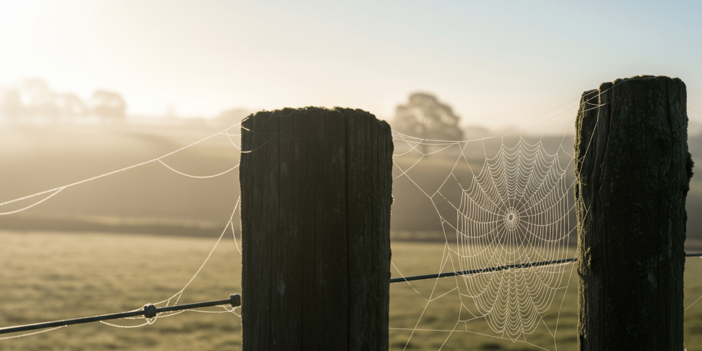 Carefully balanced stone towers (cairns) on a rocky shore of a calm mountain lake, symbolizing the precision, balance, and guidance needed to understand digital banking user behavior.