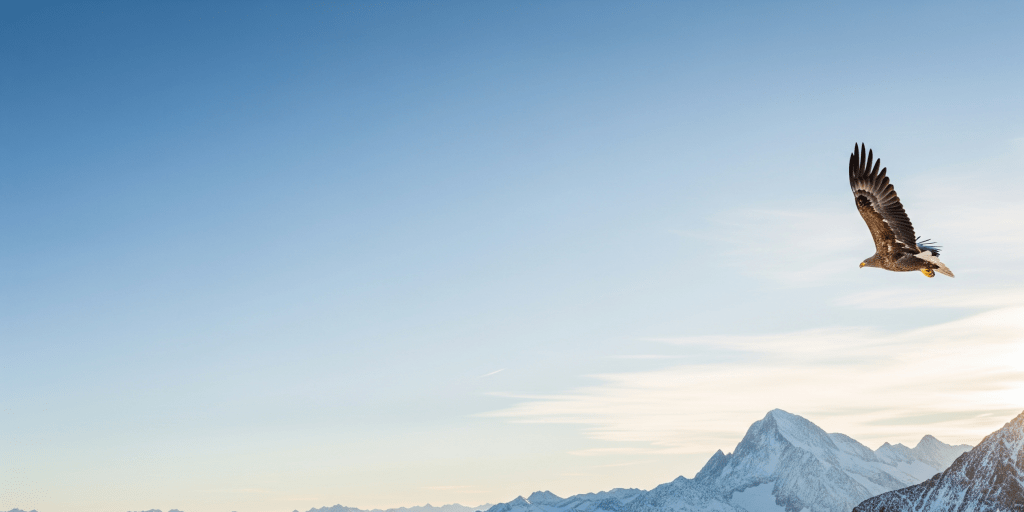 A majestic eagle soaring high above snow-capped mountain peaks under a clear blue sky, symbolizing a bird's-eye strategic view and the sharp insights needed to drive category sales growth.