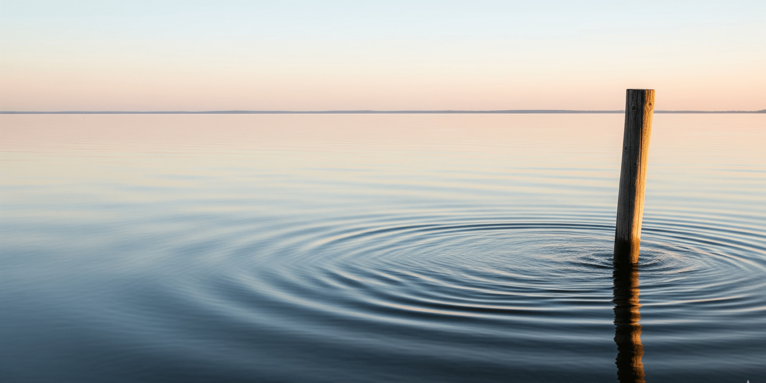 A single wooden post in calm water at sunset creating gentle ripples, representing the impact of individual survey responses and the broad reach of online data collection.