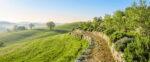 A winding stone path through lush green terraces and young trees under a clear sky, representing the structured yet blossoming path of Generation Alpha towards the future.