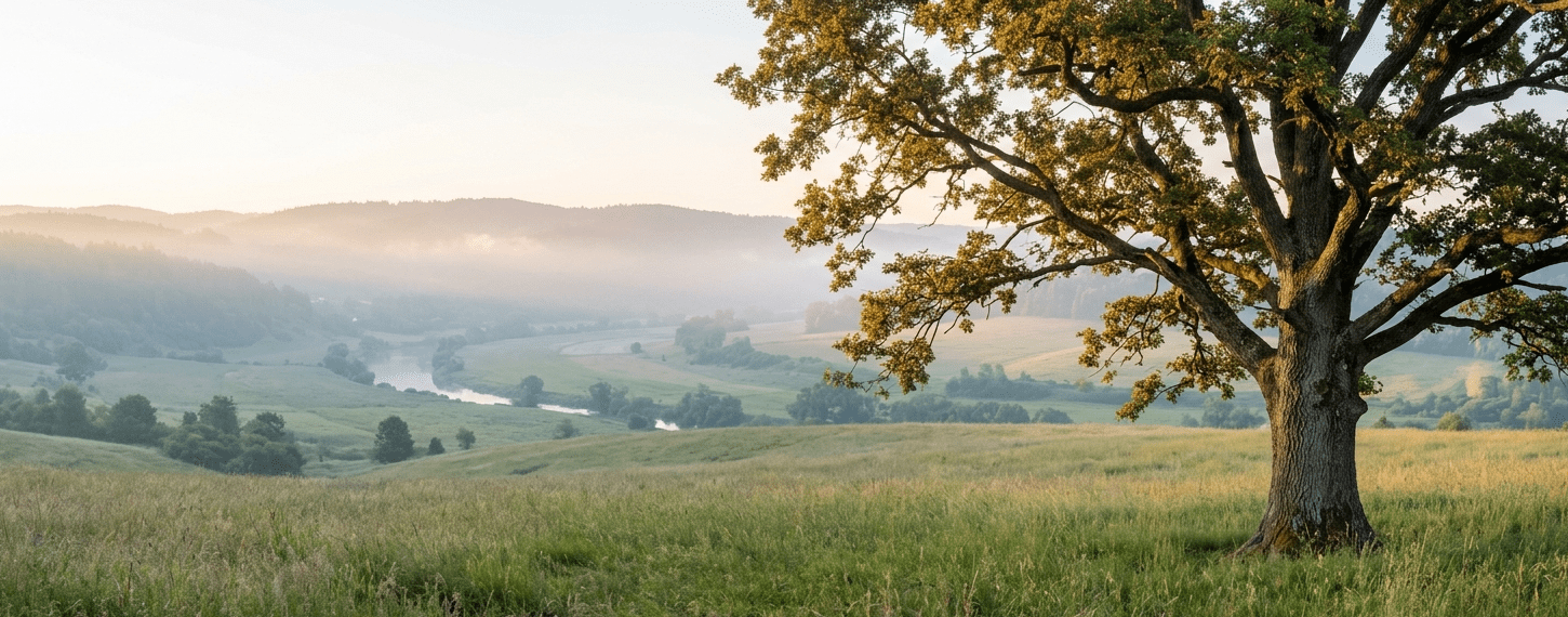 A majestic lone oak tree standing in a lush green meadow at sunrise, with a winding river and misty hills in the background, symbolizing growth, stability, and the cultivation of a sustainable ecosystem.